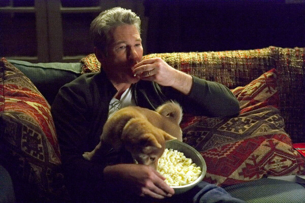 Кадр из фильма Хатико: Самый верный друг