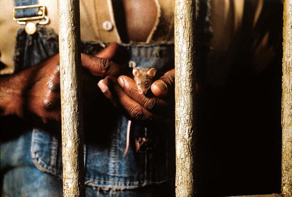 Кадр из фильма Зеленая миля