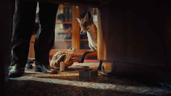 Кадр из фильма Школа магических зверей