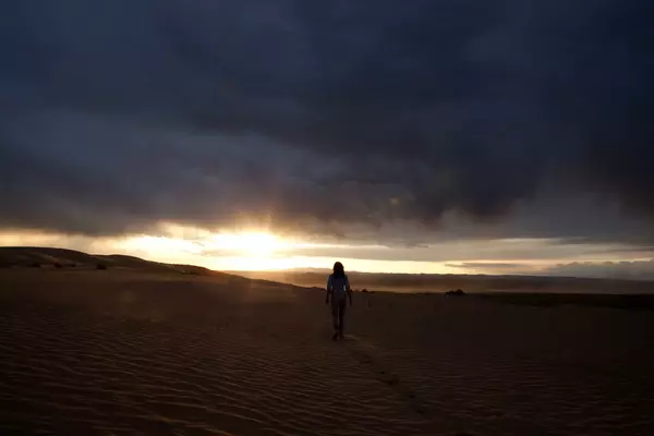 Кадр из фильма Гостья