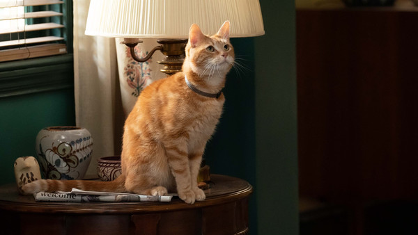 Кадр из фильма Капитан Марвел 2