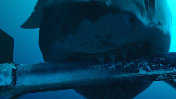 Кадр из фильма На глубине страха