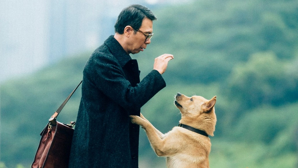 Кадр из фильма Мой Хатико