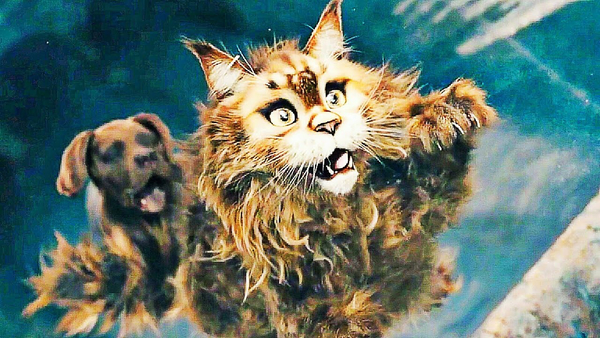 Кадр из фильма Кот и пёс