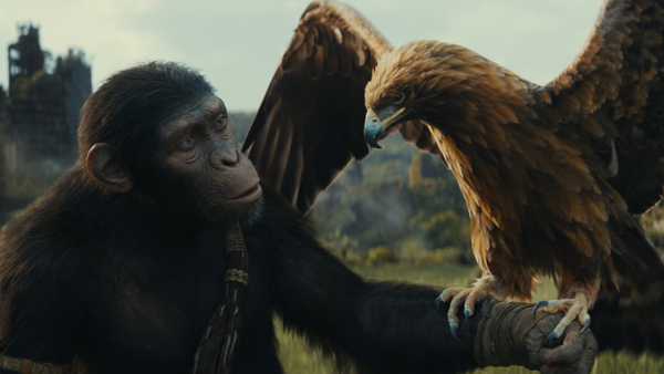Кадр из фильма Планета обезьян: Новое царство