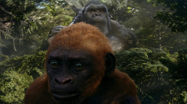 Кадр из фильма Годзилла и Конг: Новая империя