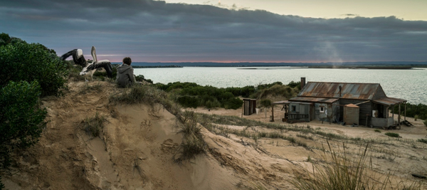 Кадр из фильма Мой друг мистер Персиваль