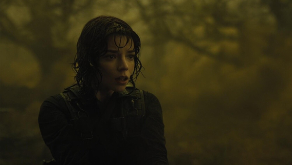 Кадр из фильма Ущелье